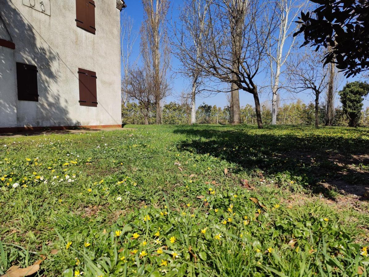 Villa Ca Degli Aironi à Cittanova  Extérieur photo