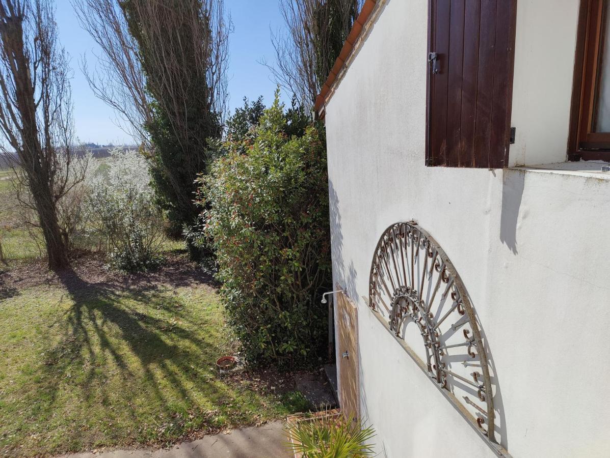 Villa Ca Degli Aironi à Cittanova  Extérieur photo