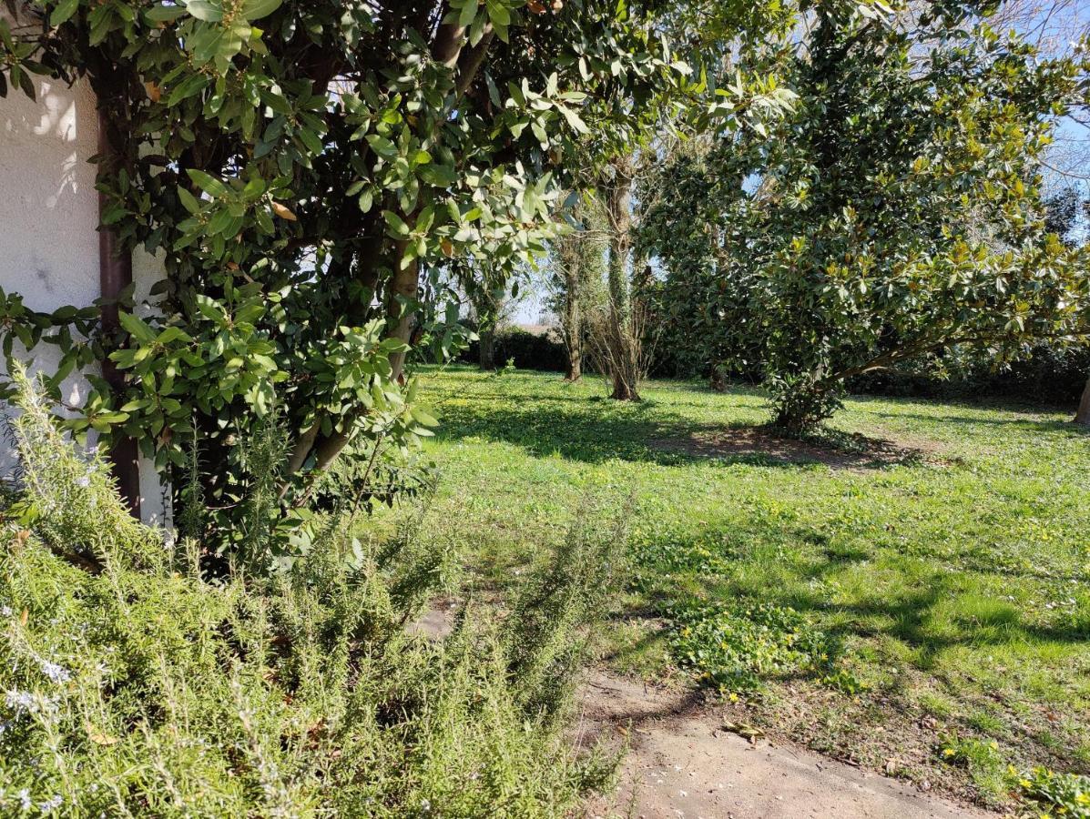 Villa Ca Degli Aironi à Cittanova  Extérieur photo